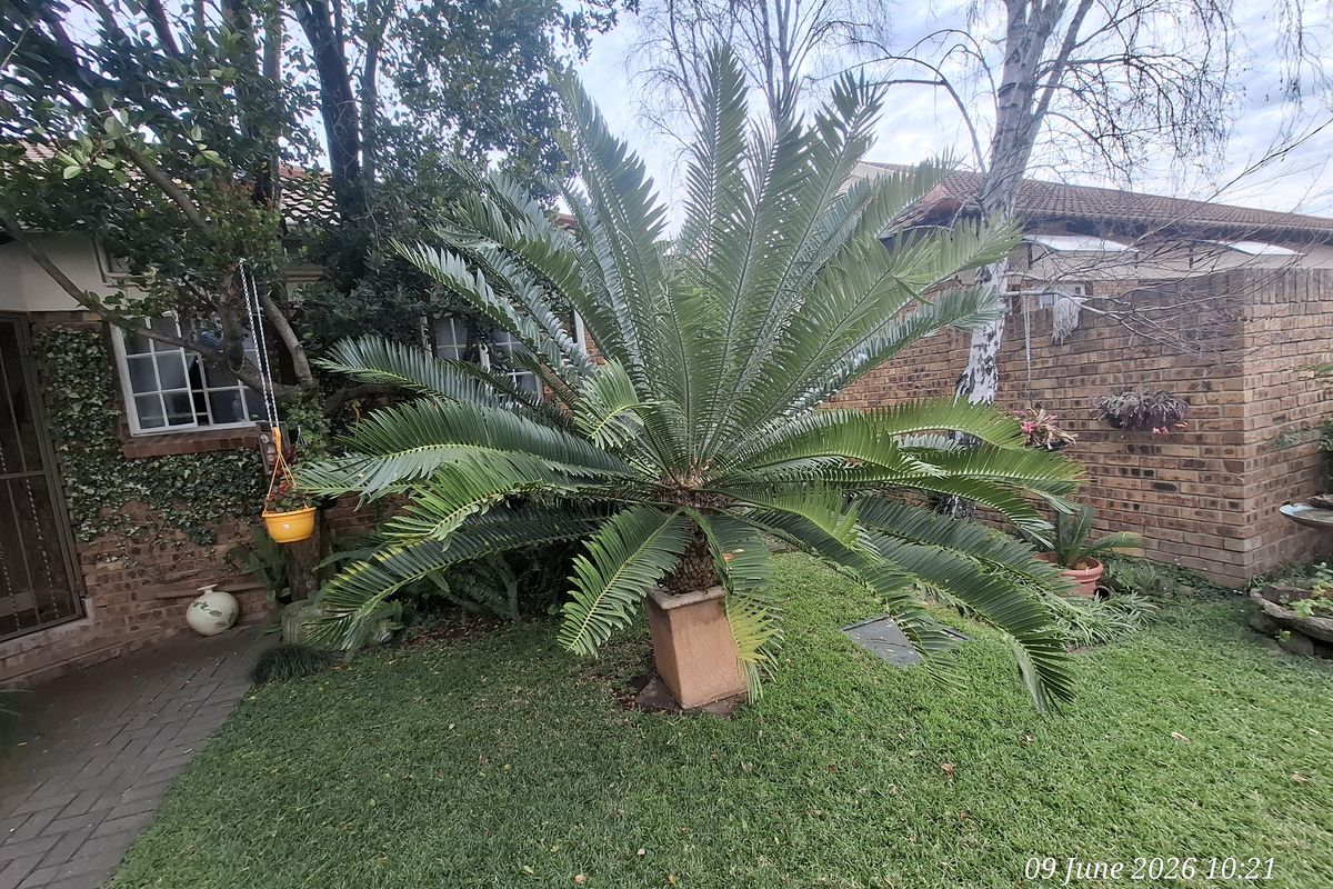 Secure, Spacious & Surprisingly Versatile – A Hidden Gem in Upper Pioneer Park - Photo 2