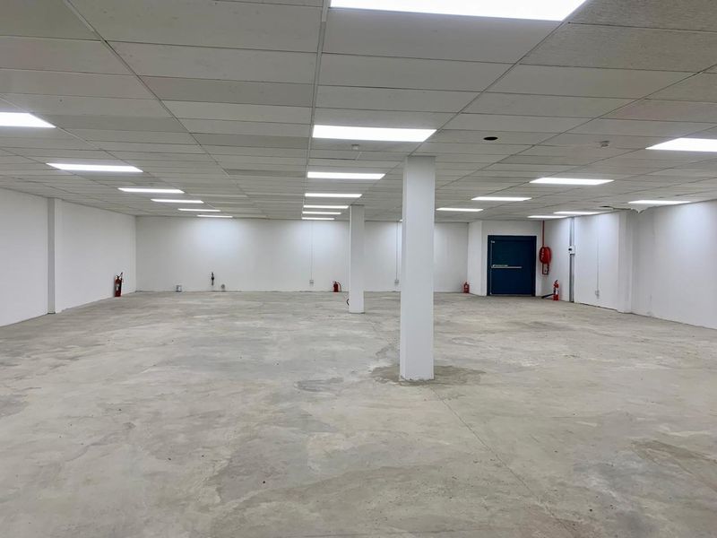 A spacious, open-plan commercial interior featuring a suspended ceiling, recessed lighting, and durable concrete flooring, suitable for various business or retail configurations.