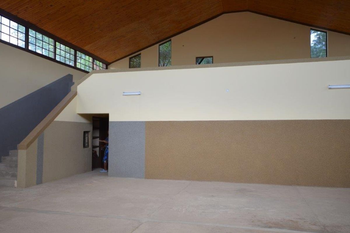 Spacious open-plan commercial area featuring a high timber-clad vaulted ceiling, concrete flooring, and large clerestory windows providing ample natural light.