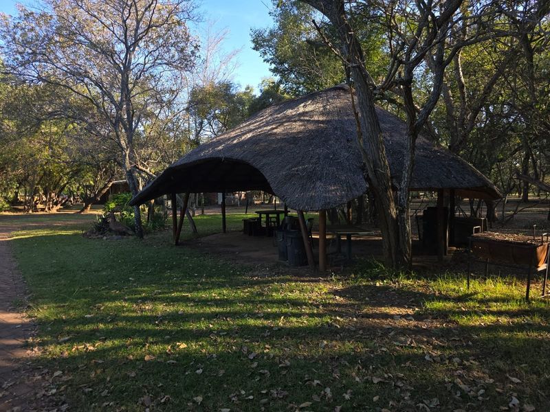 A rustic outdoor entertainment area featuring a traditional thatched roof structure supported by wooden posts, set within a natural garden environment.