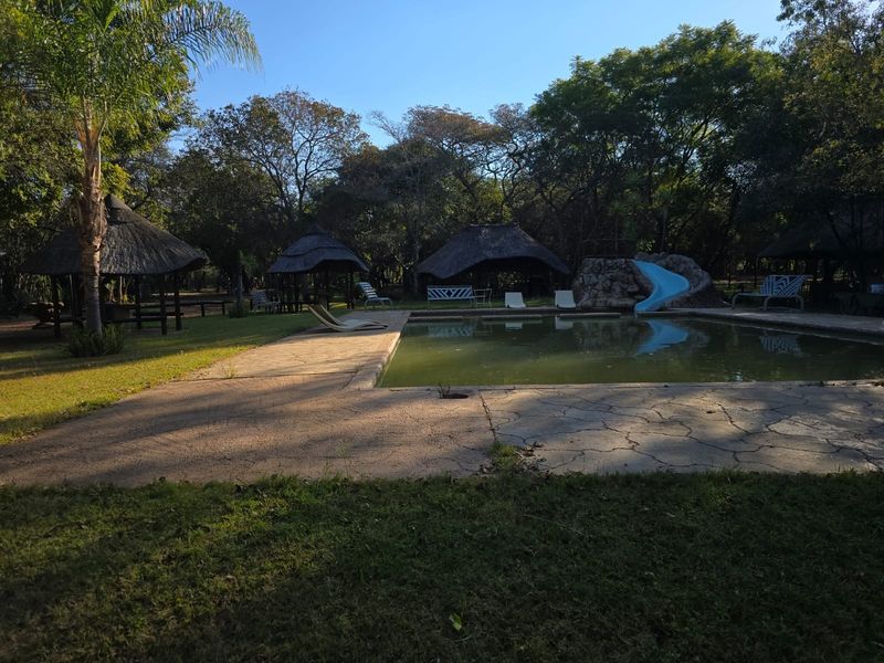 Outdoor pool area featuring a swimming pool with a slide, surrounded by multiple thatch-roofed gazebos and mature trees in a rural farm setting.