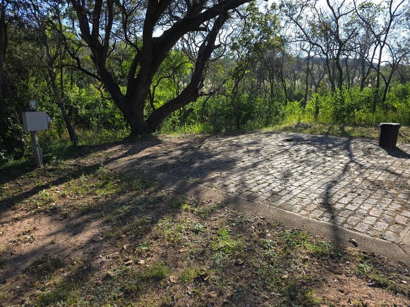 A rustic outdoor area featuring cobblestone paving set within a natural, wooded farm landscape.