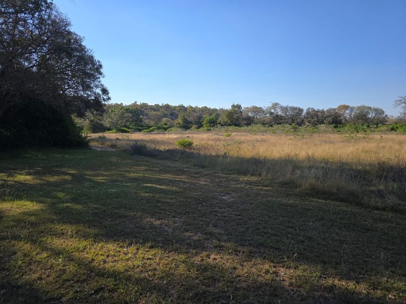 A scenic view of the expansive natural grassland and mature trees on the farm property.