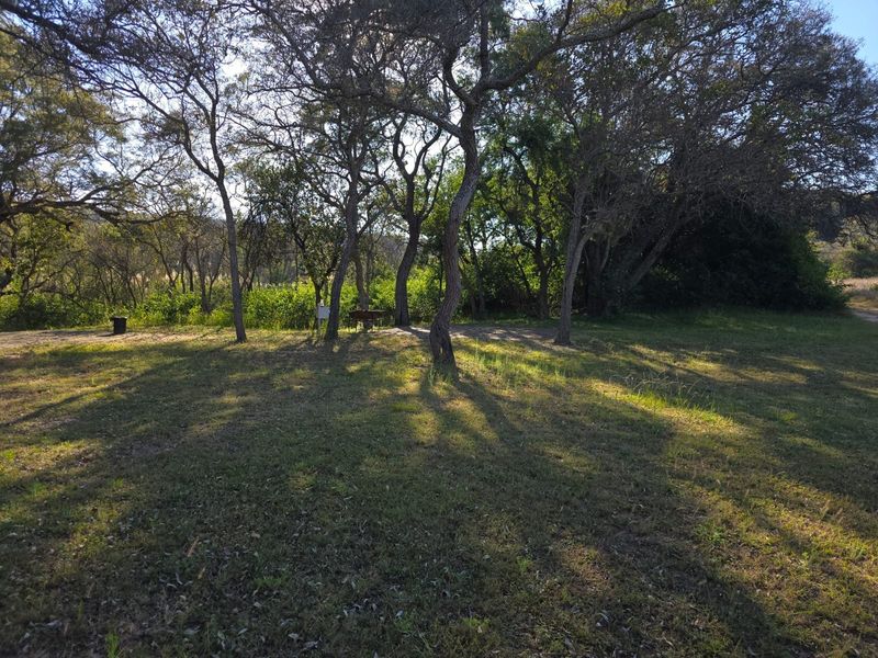 A spacious, natural garden area featuring mature trees and an open grass lawn, providing a serene outdoor setting on the farm property.