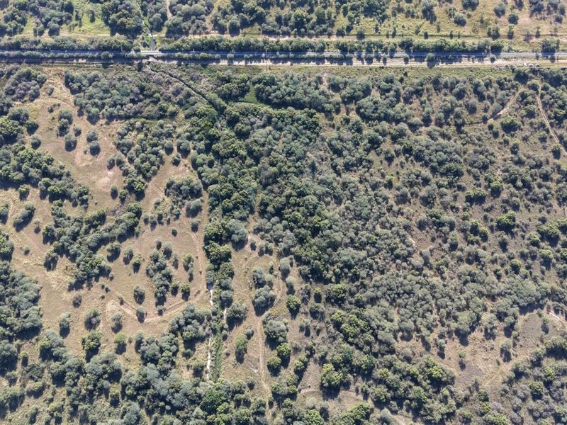 An aerial view of a large, undeveloped commercial land parcel featuring native vegetation and proximity to a main road.
