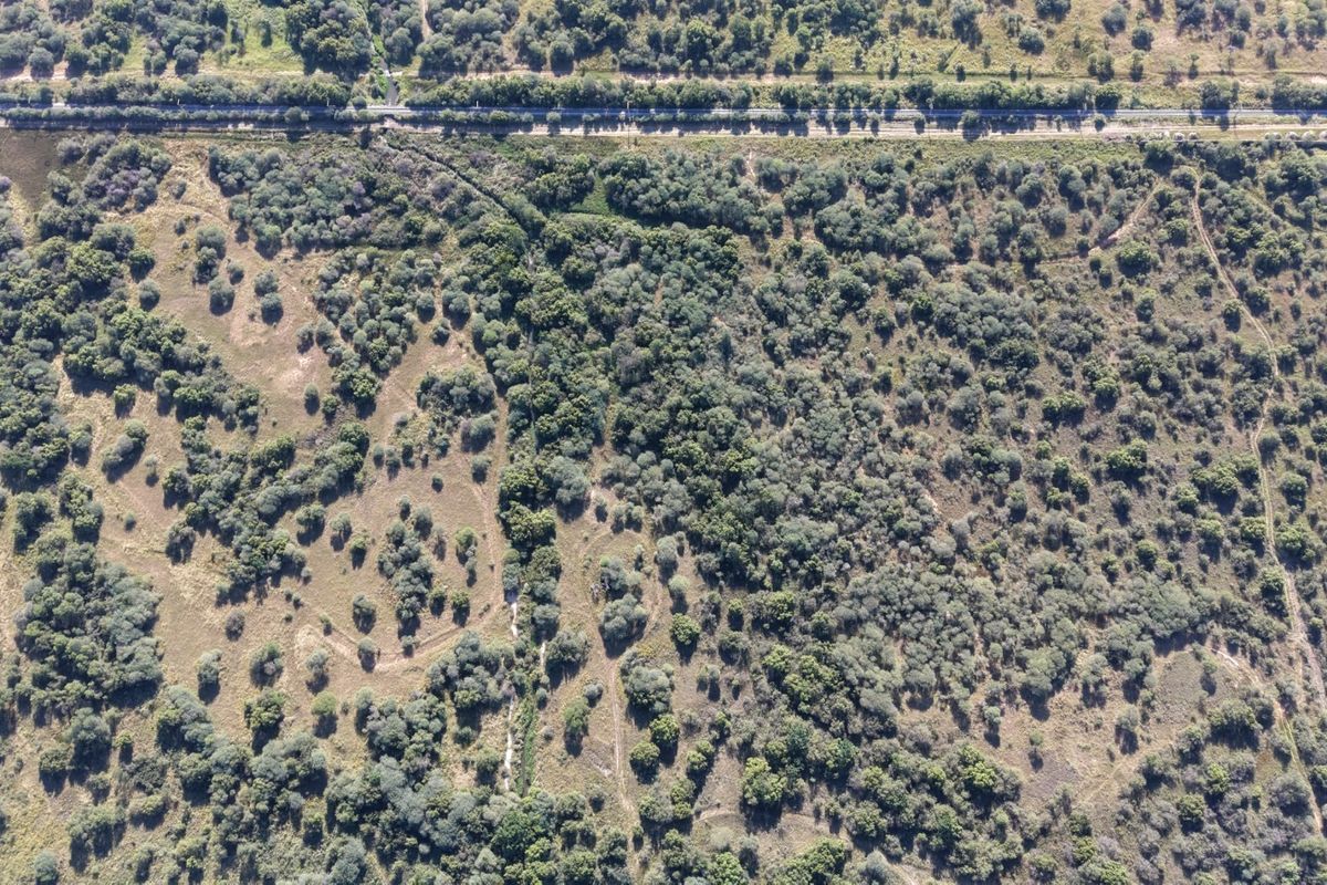 An aerial view of a large, undeveloped commercial land parcel featuring native vegetation and proximity to a main road.