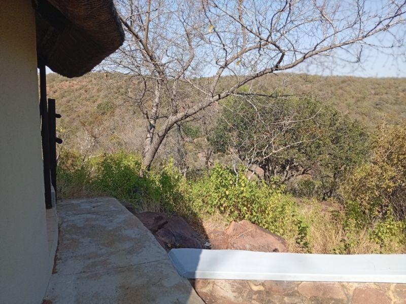 A scenic view of the surrounding natural landscape and bushveld, captured from a rustic patio with a thatched roof overhang.