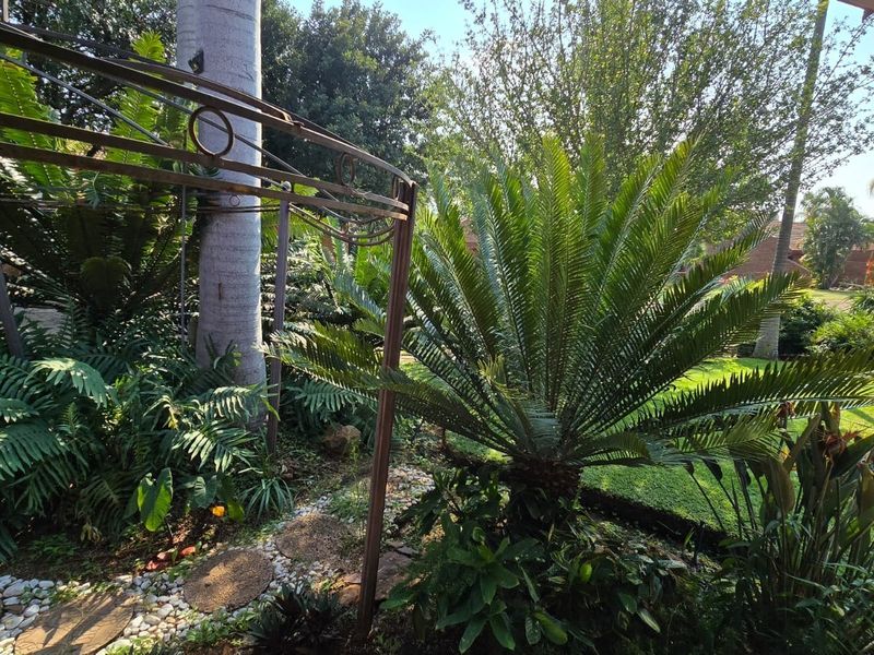 A lush, well-maintained garden featuring a metal archway, stone pathway, and mature cycad plants in a peaceful outdoor setting.