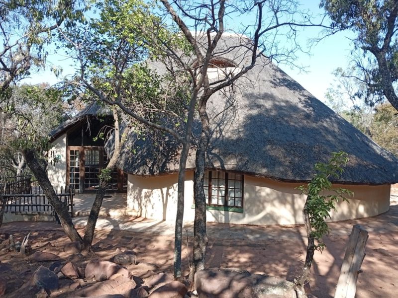 A unique circular dwelling featuring a traditional thatched roof, timber-framed windows, and glass doors, set within a natural, wooded landscape.