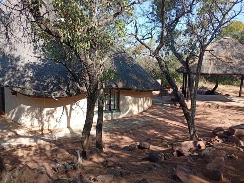 Rear view of a traditional thatched-roof dwelling featuring plastered walls and a paved walkway, set within a natural, wooded outdoor environment.