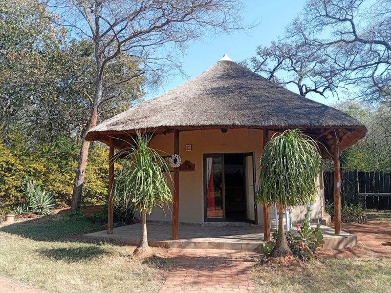 A charming thatched-roof cottage featuring a covered patio, timber support posts, and a brick-paved entrance path set within a natural garden environment.