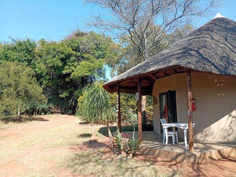 A view of a rustic unit featuring a traditional thatched roof and a covered patio area set within a natural, wooded environment.