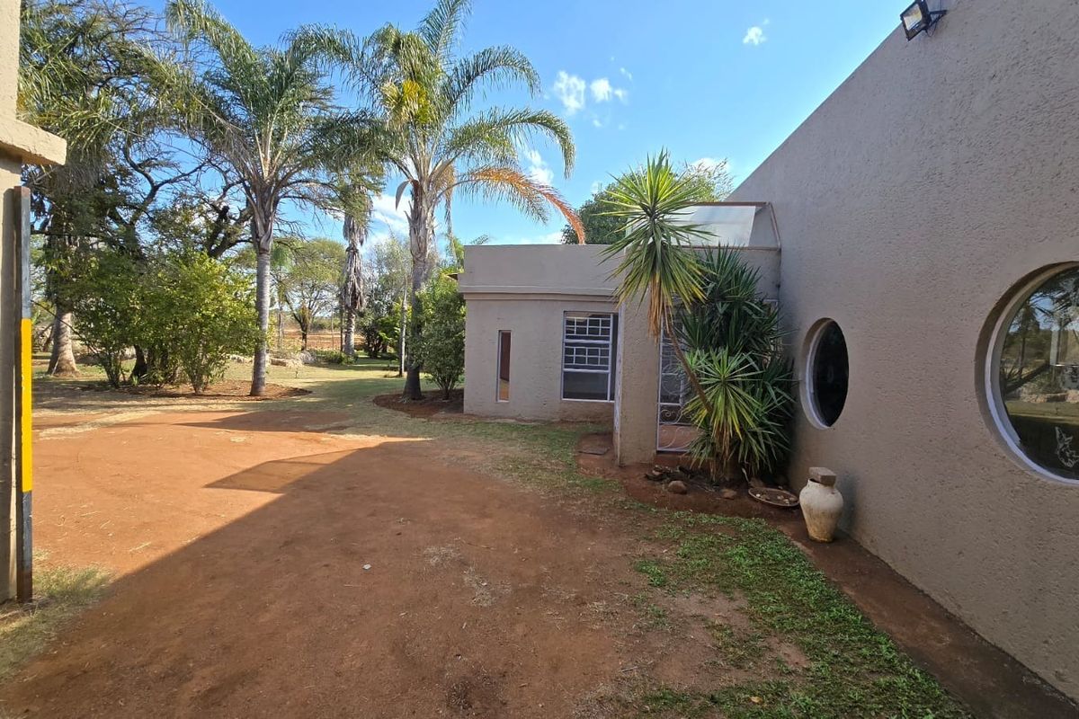 Rear exterior view of the property featuring unique circular windows, stucco wall finish, and a spacious garden area with mature palm trees.