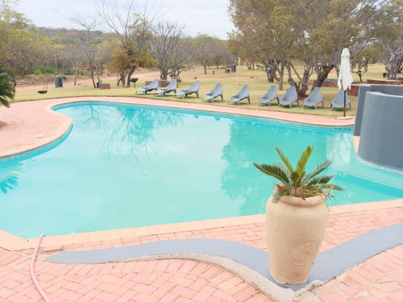 Outdoor swimming pool area featuring brick paved surrounds and a landscaped garden setting.