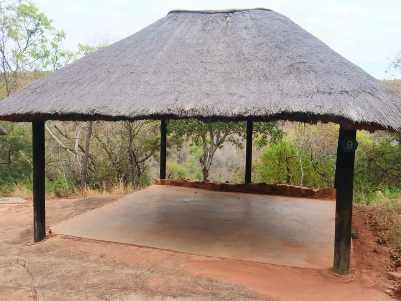 An open-air thatched lapa structure featuring timber support posts and a concrete floor, set in a natural bushveld environment.