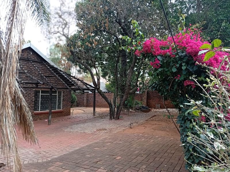 Rear garden area featuring brick paving, mature trees, and a patio structure with exposed timber rafters requiring maintenance or roof covering.