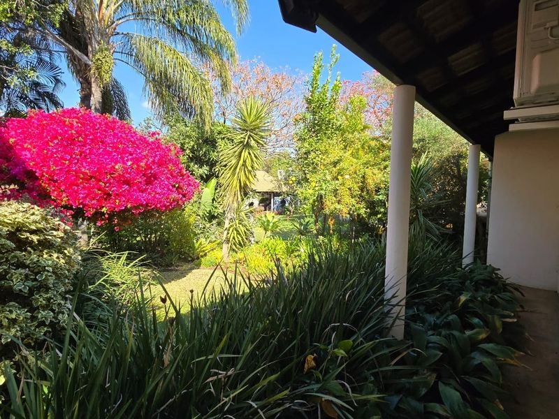 A covered patio area overlooking a lush, well-established garden with mature trees and vibrant flowering shrubs.