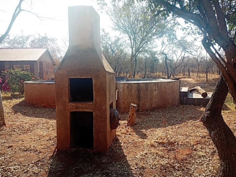 Outdoor pool area featuring a circular swimming pool and a standalone masonry braai structure set within a natural garden environment.