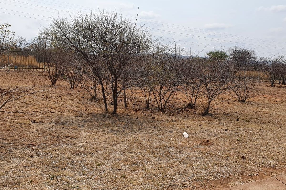 A view of the vacant residential land featuring dry vegetation and perimeter fencing.