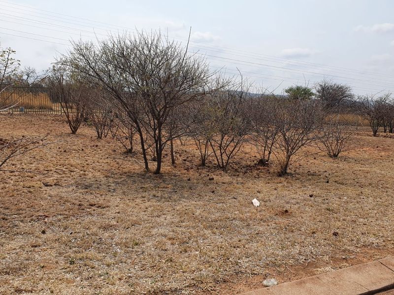 A view of the vacant residential land featuring dry vegetation and perimeter fencing.