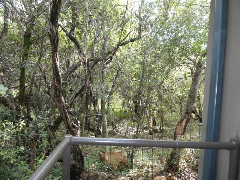 House For Sale In Bela Bela - Photo 9