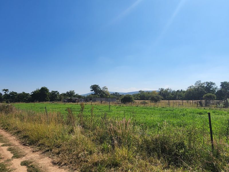 Smallholding For Sale In Bela Bela - Photo 9
