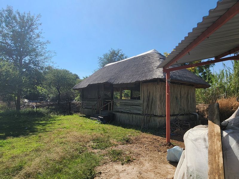 Smallholding For Sale In Bela Bela - Photo 7