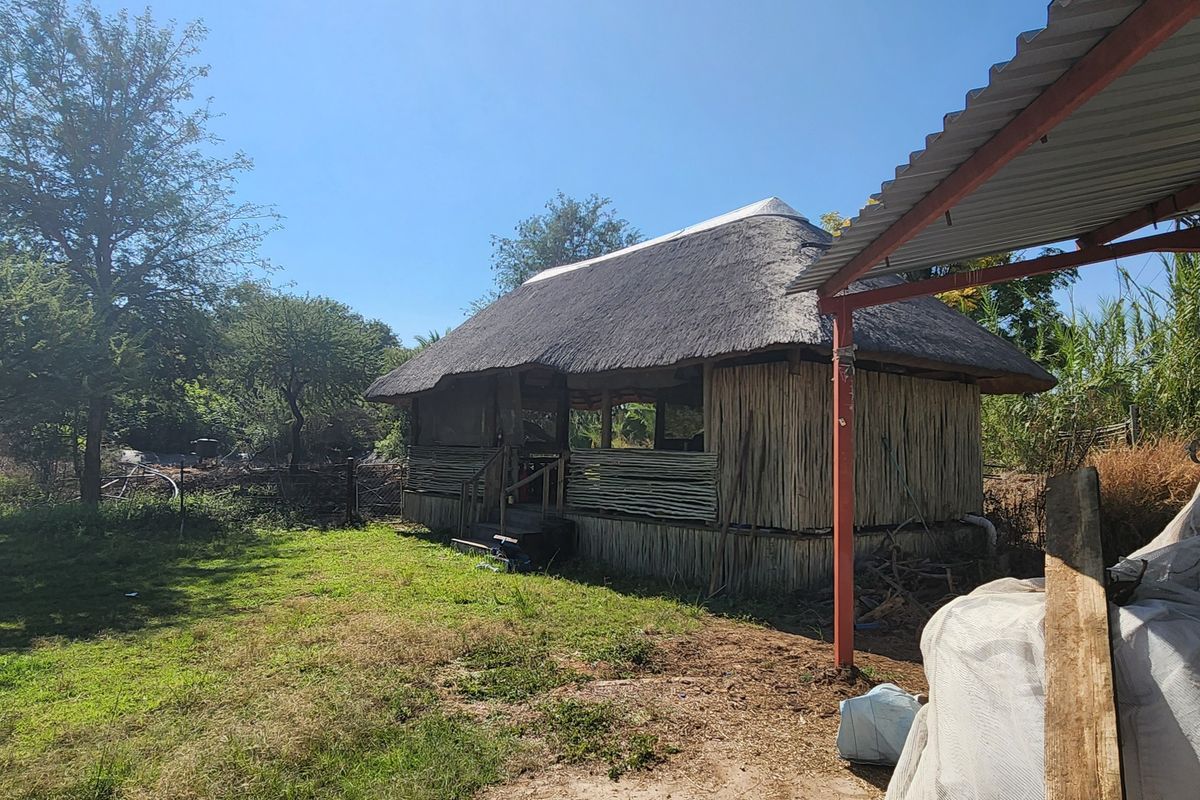 A rustic outdoor structure featuring a traditional thatch roof and timber pole construction, set within a natural garden environment.