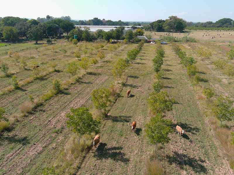 Smallholding For Sale In Bela Bela - Photo 6