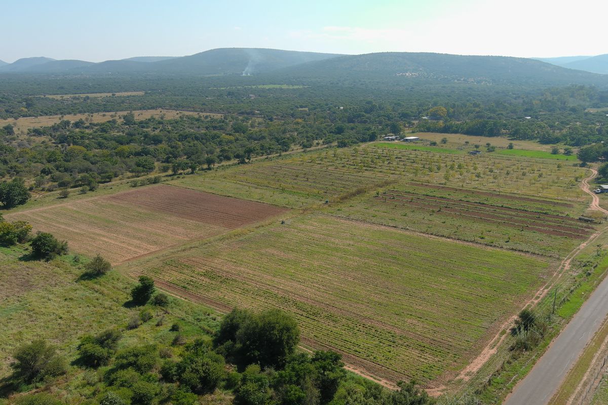 Smallholding For Sale In Bela Bela - Photo 2