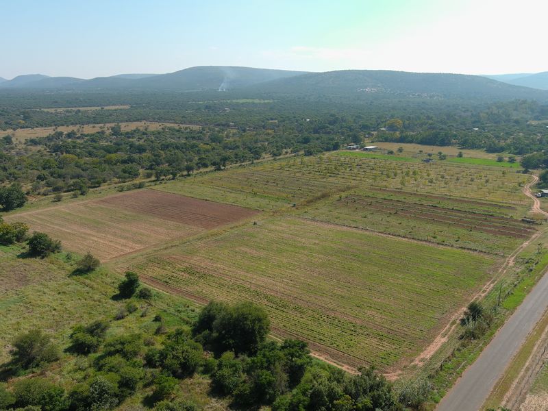 Smallholding For Sale In Bela Bela - Photo 2