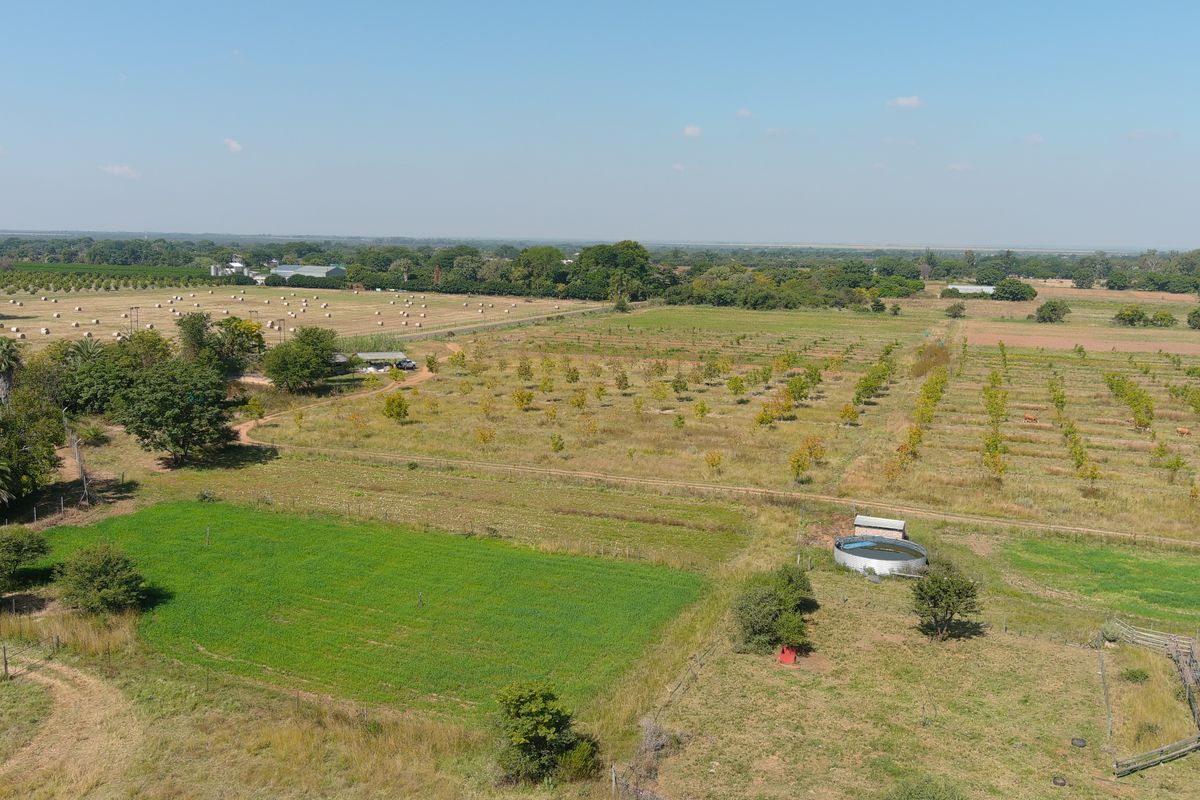 Smallholding For Sale In Bela Bela - Photo 3