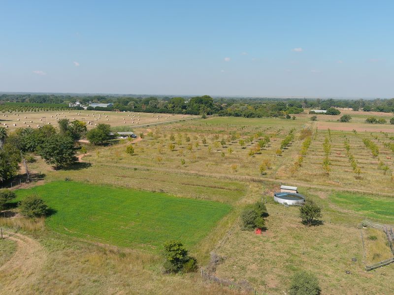 Smallholding For Sale In Bela Bela - Photo 3