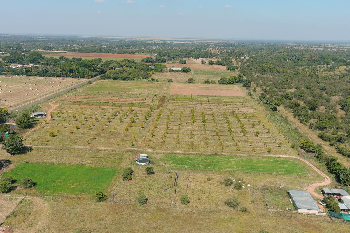 Smallholding For Sale In Bela Bela - Photo 4