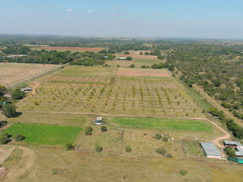 Smallholding For Sale In Bela Bela - Photo 4