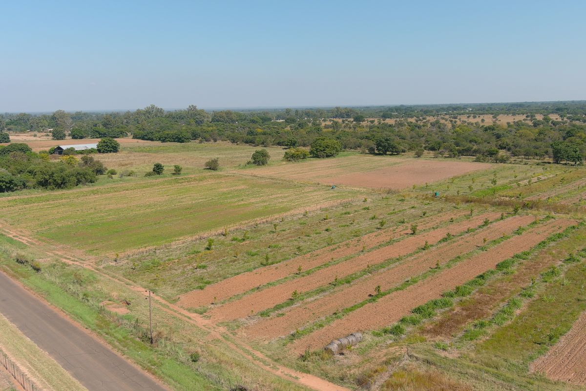 Smallholding For Sale In Bela Bela - Photo 5