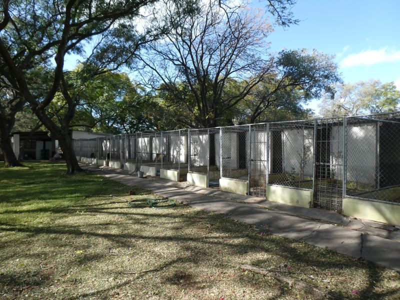 Smallholding For Sale In Bela Bela - Photo 8