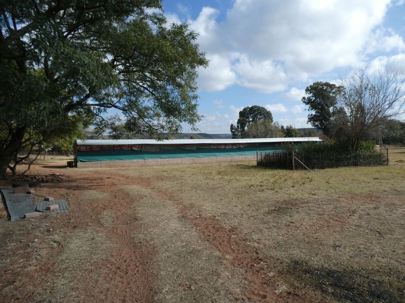 Smallholding For Sale In Bela Bela - Photo 7