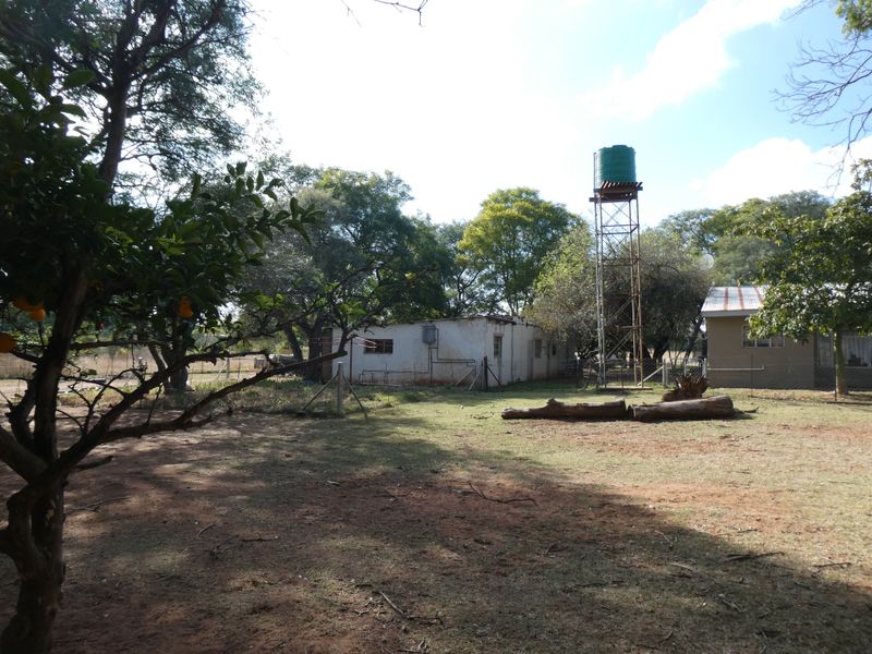 Smallholding For Sale In Bela Bela - Photo 6