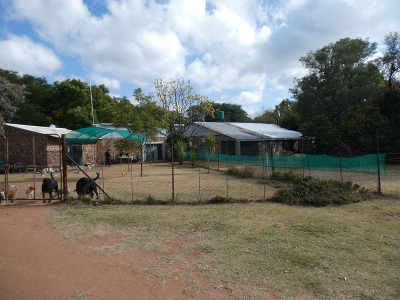 Smallholding For Sale In Bela Bela - Photo 4