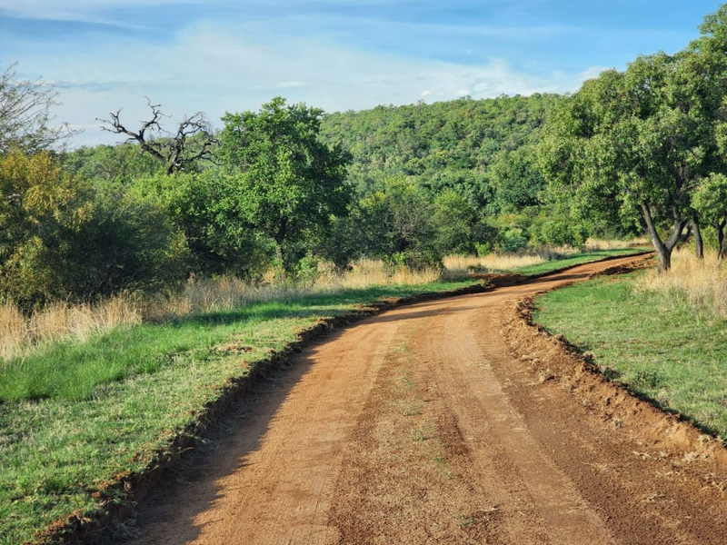 A scenic view of a natural dirt road winding through a lush, green landscape with mature trees and rolling hills in the background.