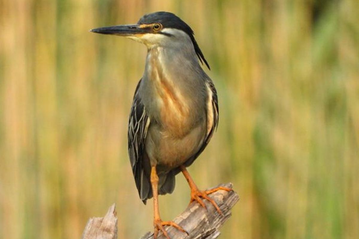 Vacant Land Residential Pending Sale In Bela Bela - Photo 5