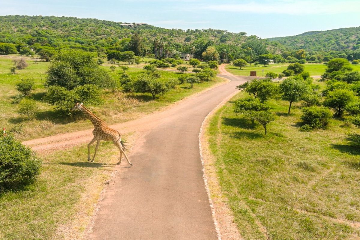 Vacant Land Residential Pending Sale In Bela Bela - Photo 2