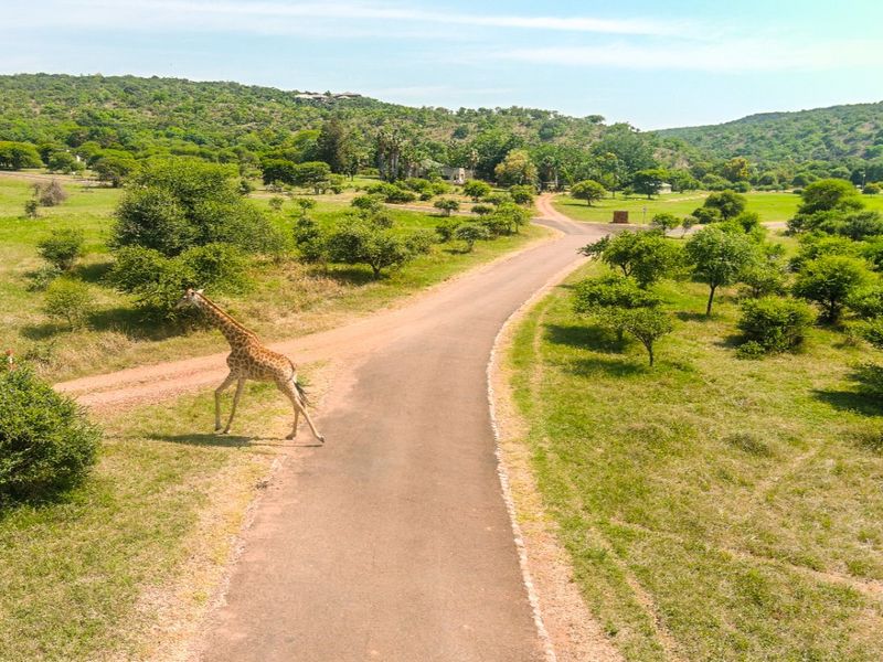 Vacant Land Residential Pending Sale In Bela Bela - Photo 2