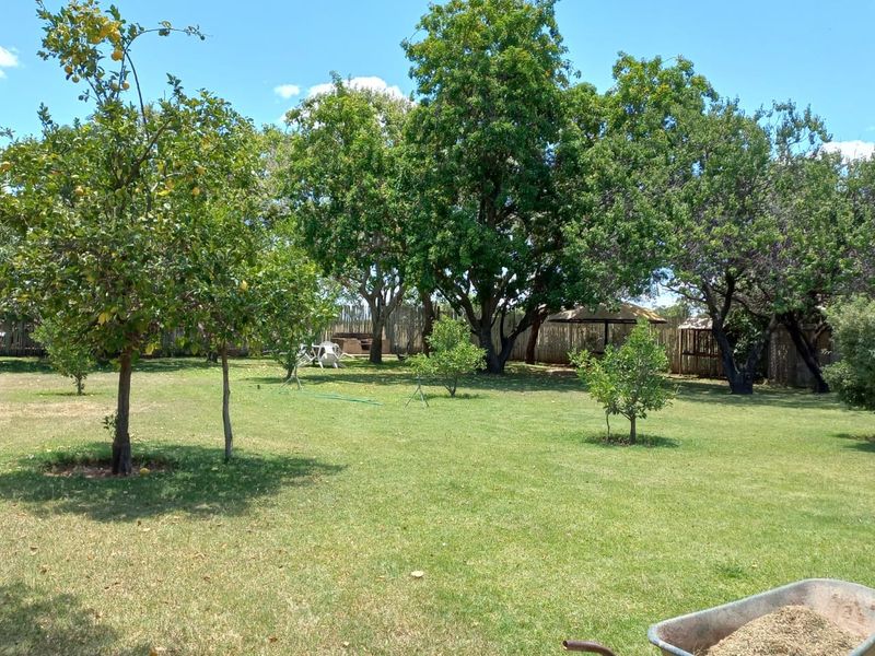 Farm For Sale In Bela Bela - Photo 9