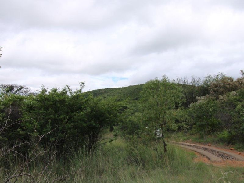 A scenic view of the natural landscape featuring native vegetation and a dirt access track on the vacant residential property.