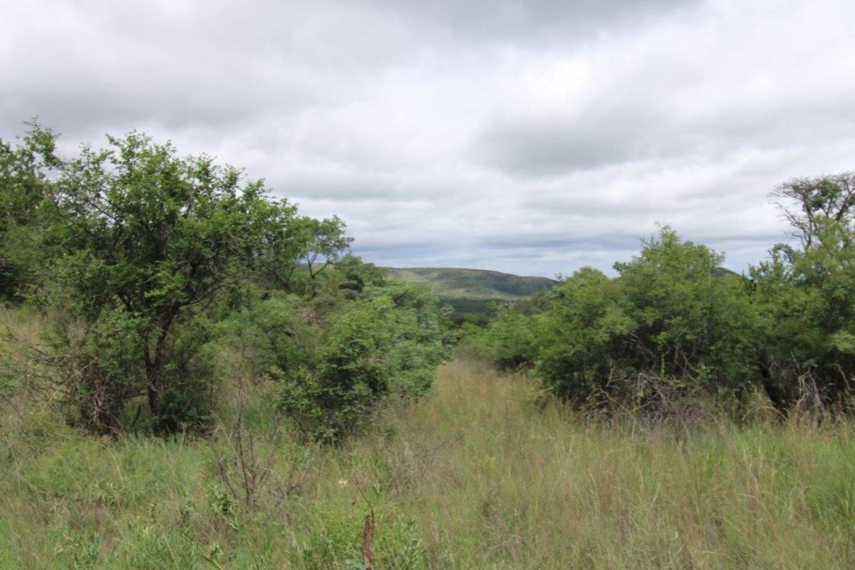 A scenic view of the natural landscape and indigenous vegetation on the vacant residential property.