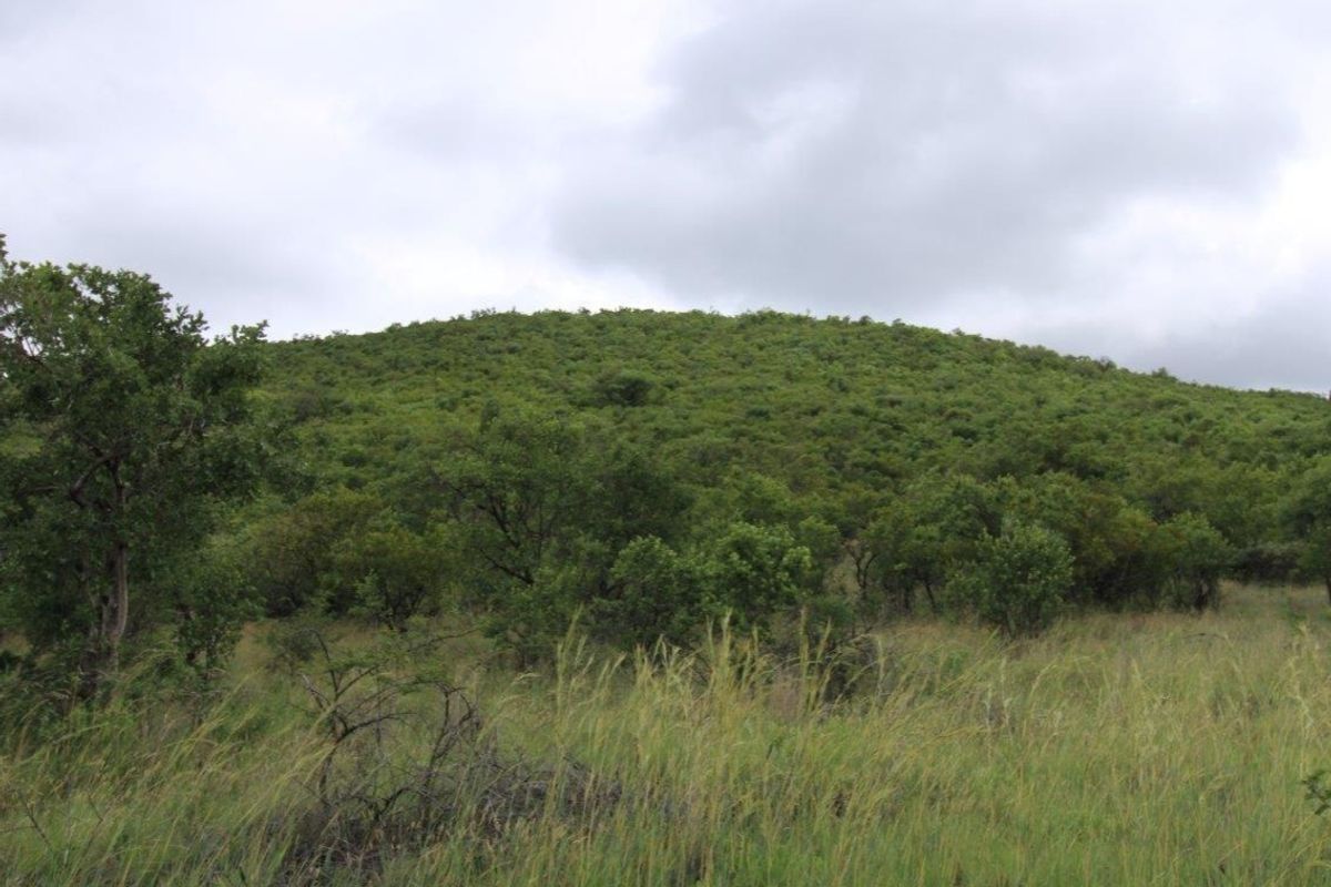 A scenic view of a lush, green hillside covered in natural vegetation and trees, showcasing the undeveloped landscape of the residential property.