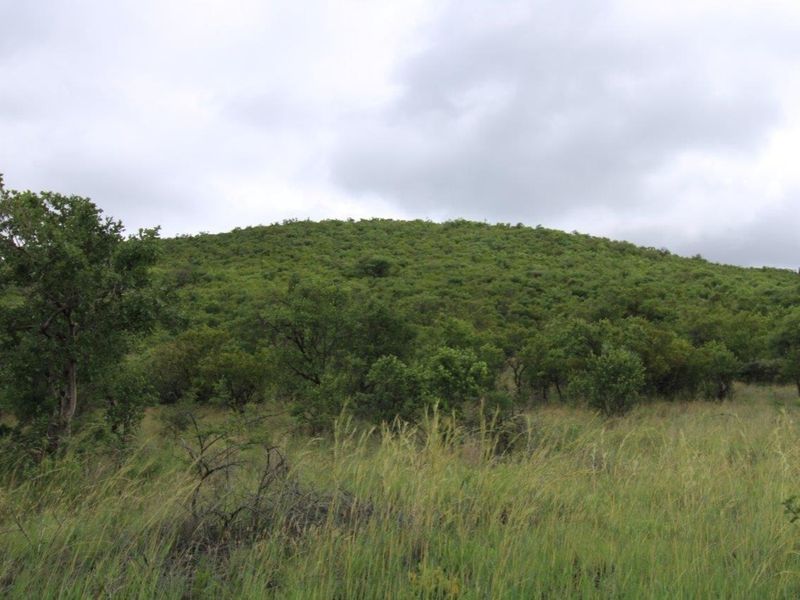 A scenic view of a lush, green hillside covered in natural vegetation and trees, showcasing the undeveloped landscape of the residential property.
