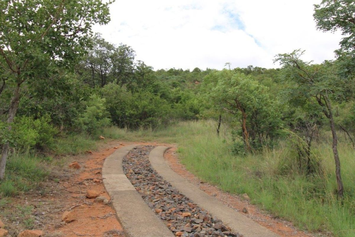 A natural residential plot featuring a concrete driveway with a central stone drainage channel, surrounded by established native trees and shrubs.